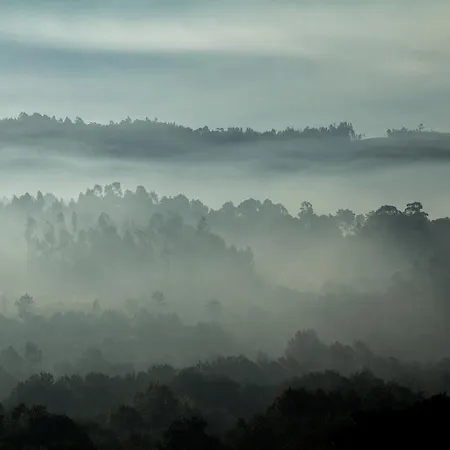 Lantgård Casas De Sao Martinho