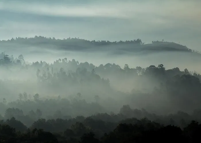Alloggio per agriturismo Casas De Sao Martinho